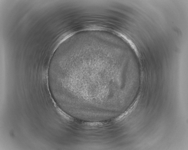 X0000115541425200911201730