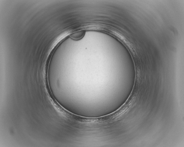 X0000115541426200911201730