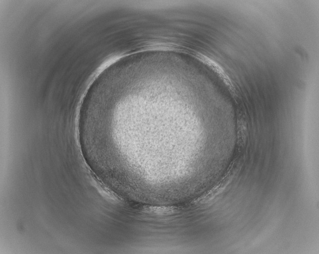 X0000115541427200911201730