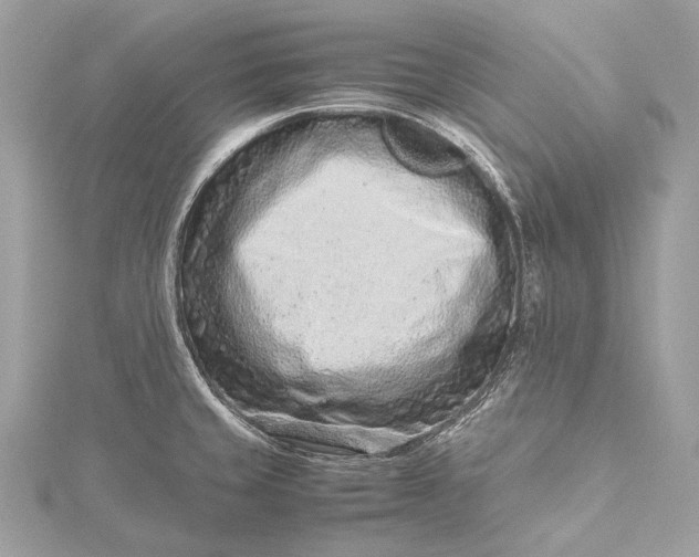 X0000115541429200911201730