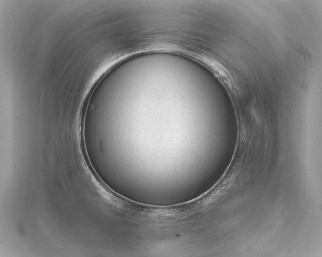 X0000115541430200911201730