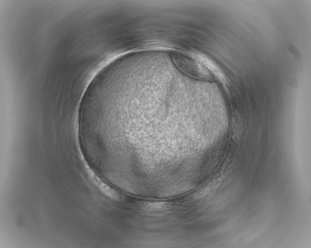 X0000115541431200911201730