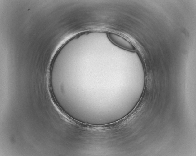 X0000115541432200911201731