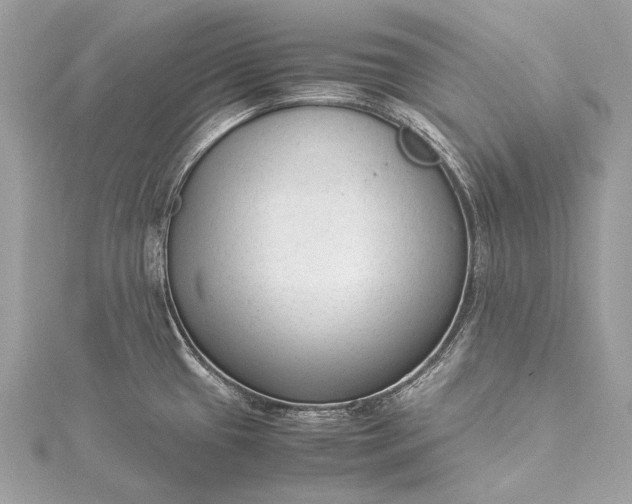 X0000115541433200911201731