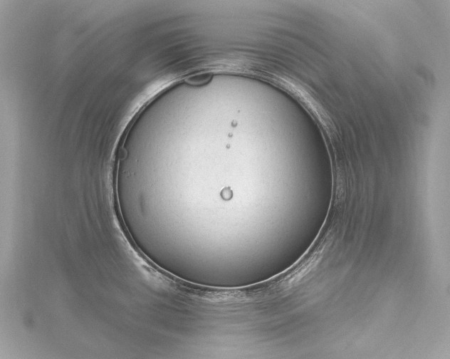 X0000115541434200911201731