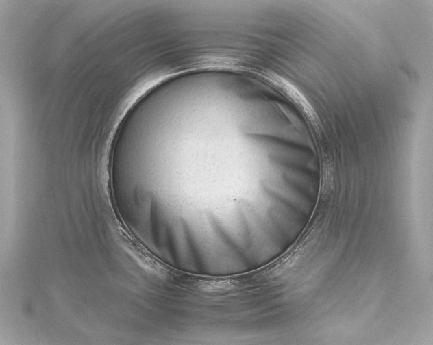 X0000115541435200911201731