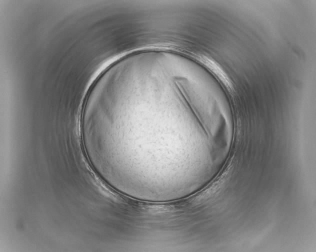 X0000115541436200911201731