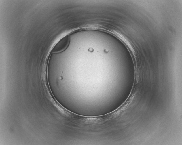 X0000115541437200911201731