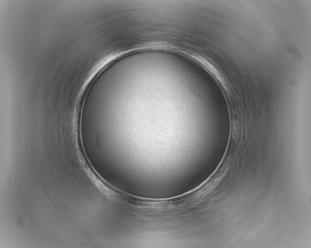 X0000115541438200911201731