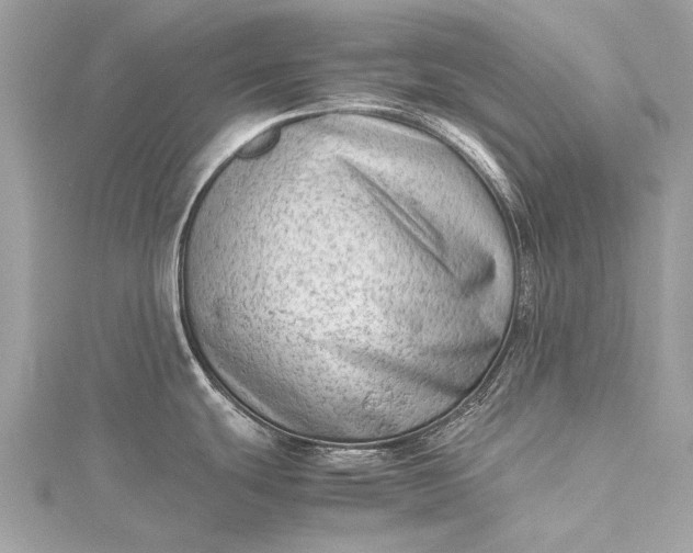 X0000115541439200911201731