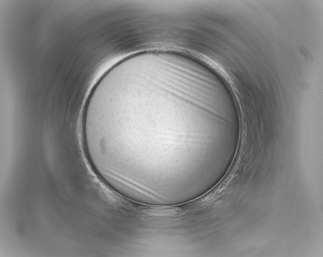 X0000115541440200911201731