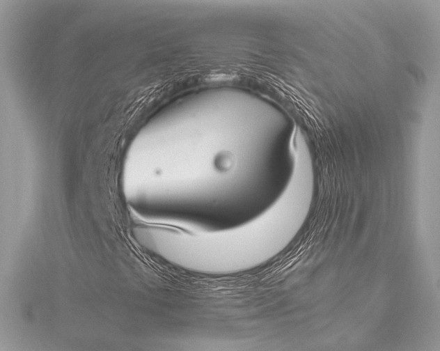 X0000115541441200911201730