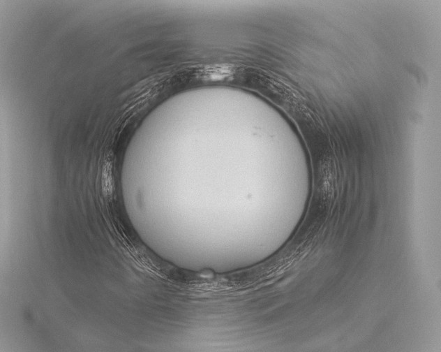 X0000115541442200911201730