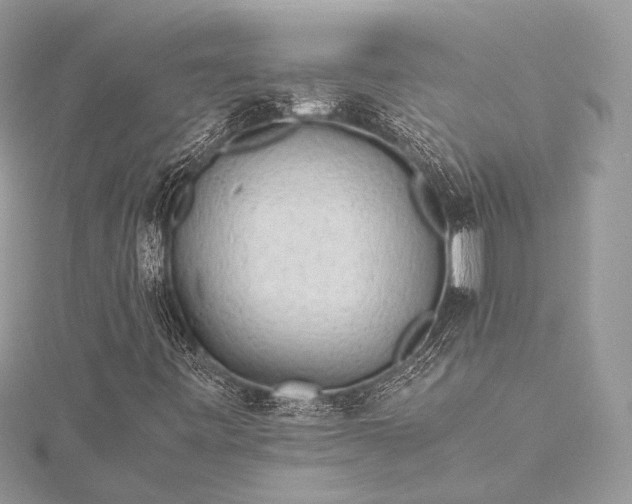 X0000115541443200911201730