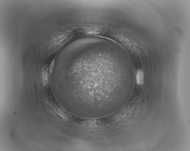 X0000115541444200911201730