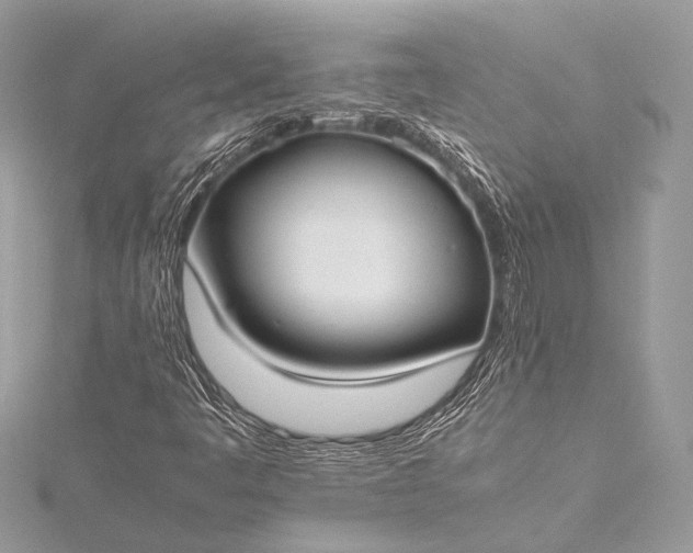 X0000115541445200911201730