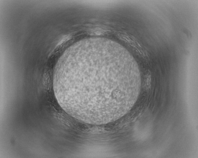 X0000115541446200911201730