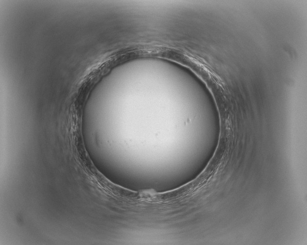 X0000115541447200911201730