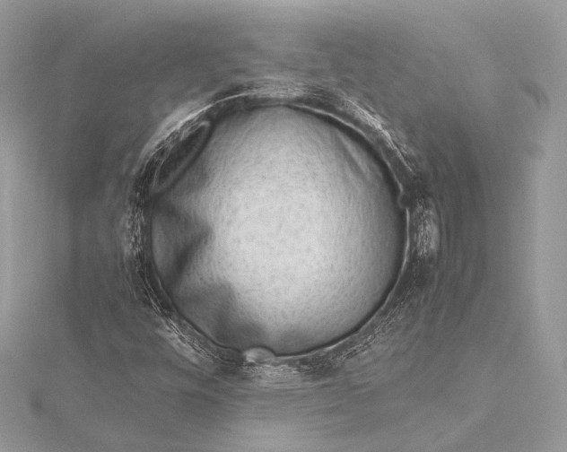 X0000115541448200911201730