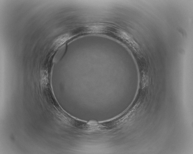 X0000115541449200911201730