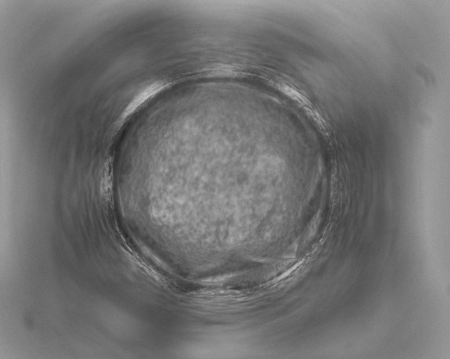 X0000115541450200911201730