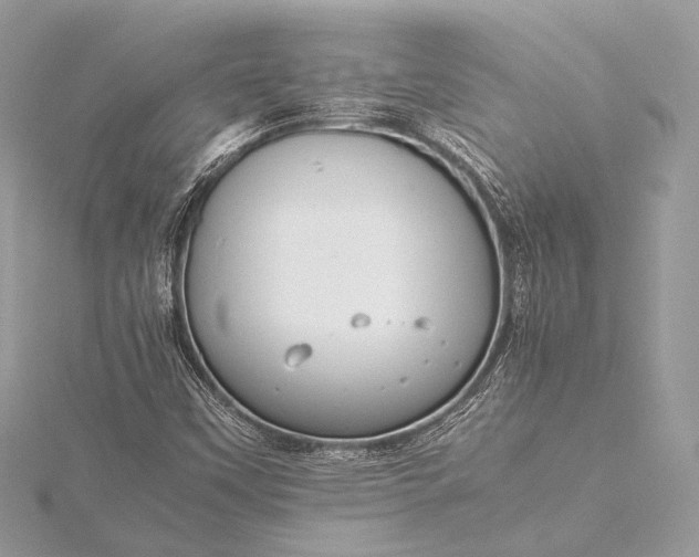 X0000115541451200911201730