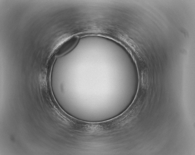 X0000115541452200911201730