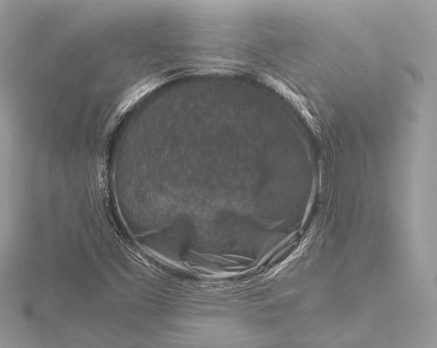 X0000115541453200911201730