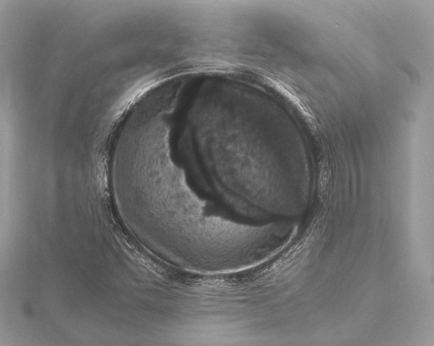 X0000115541455200911201730