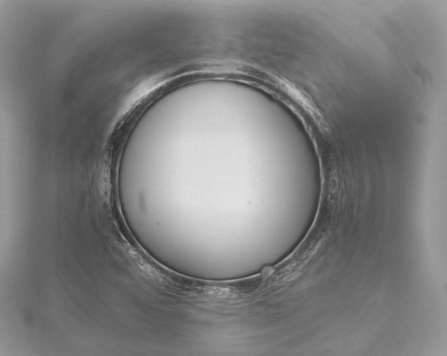 X0000115541456200911201730