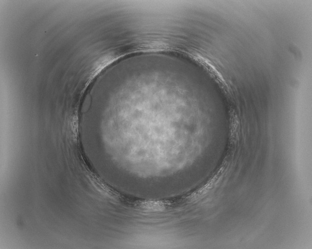 X0000115541457200911201730