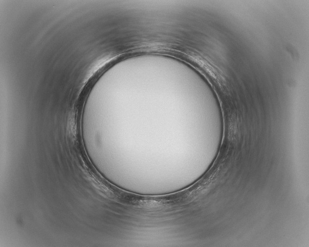 X0000115541458200911201730