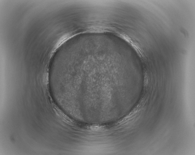 X0000115541459200911201730