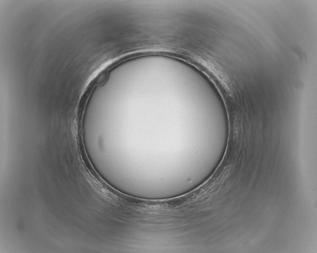 X0000115541460200911201730