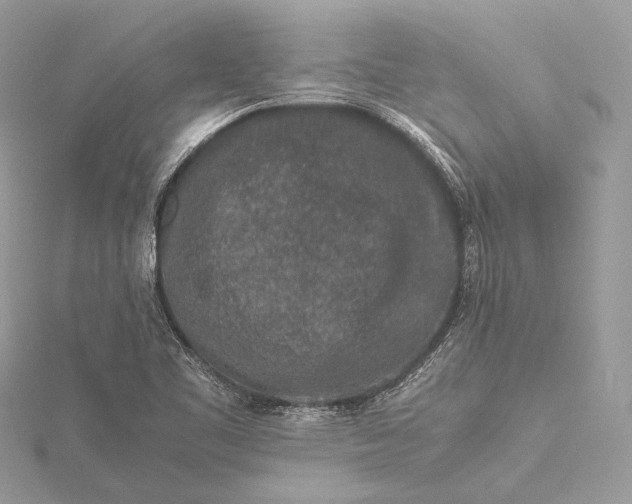 X0000115541461200911201730