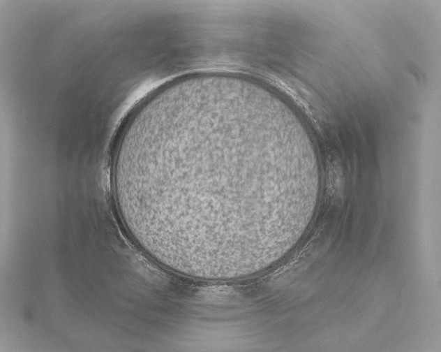 X0000115541462200911201730