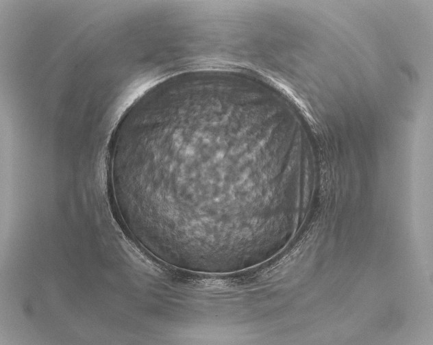 X0000115541463200911201730