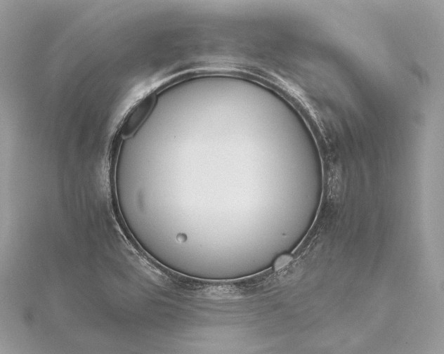 X0000115541464200911201730