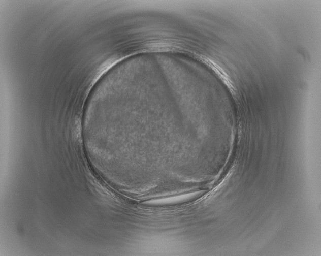 X0000115541465200911201730