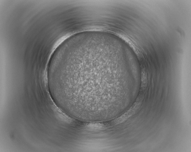 X0000115541466200911201730