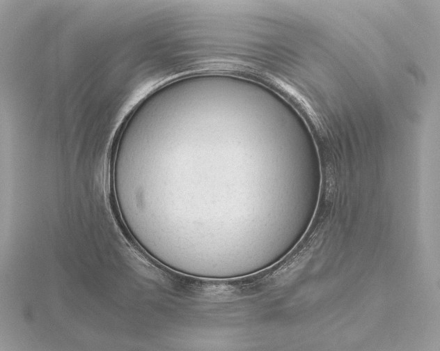 X0000115541467200911201730