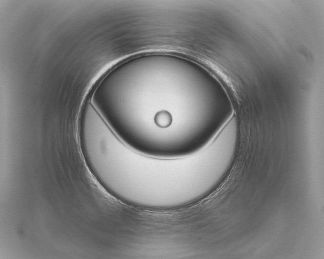 X0000115541468200911201730