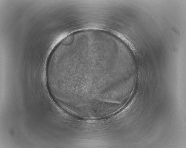 X0000115541469200911201730