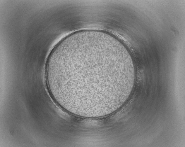 X0000115541470200911201730