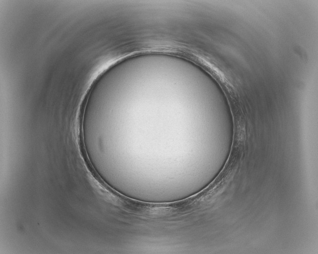 X0000115541471200911201730