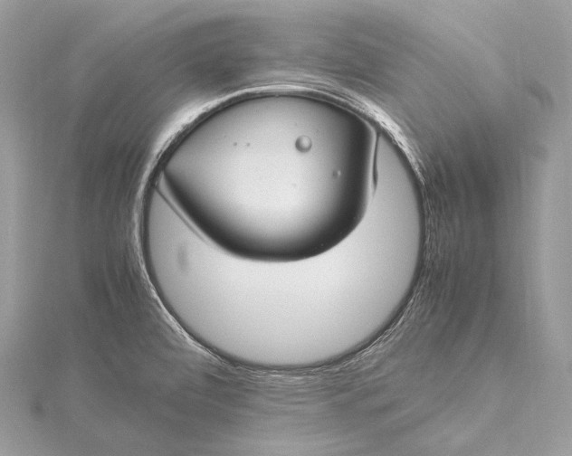 X0000115541472200911201730