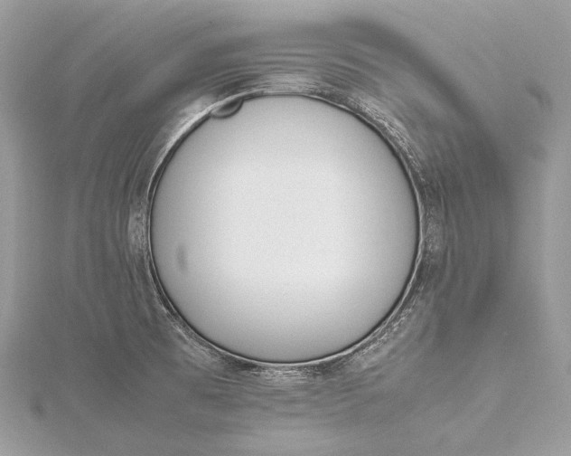 X0000115541473200911201730