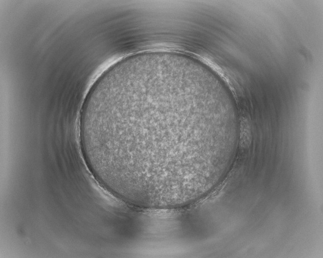 X0000115541474200911201730