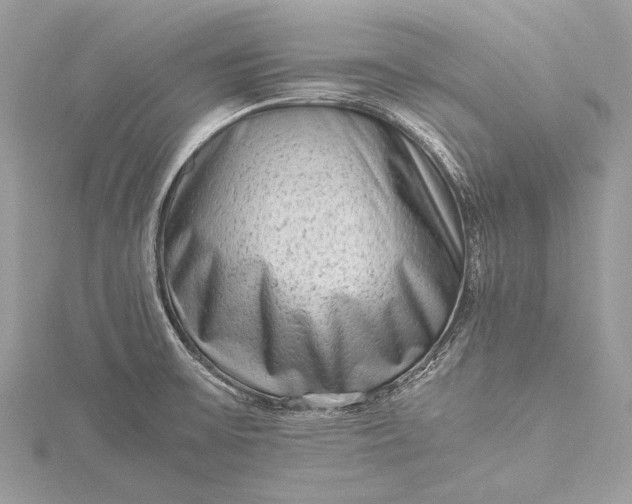 X0000115541475200911201730