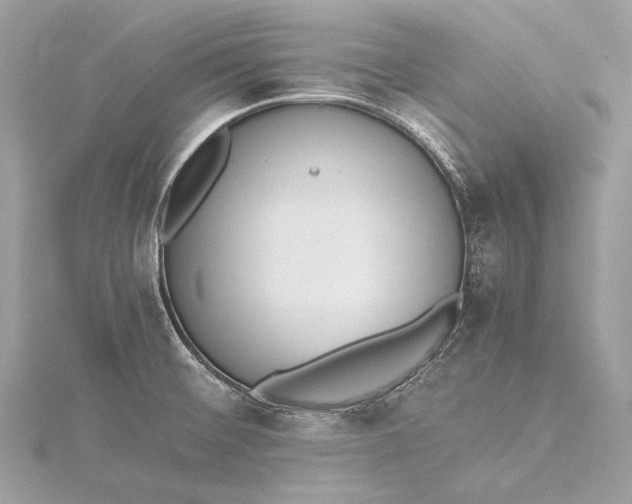 X0000115541476200911201730